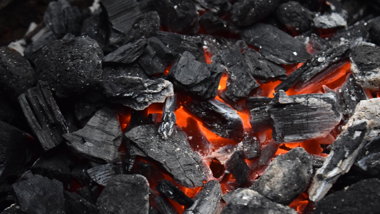 Coal use could reach an all-time high this year, according to experts