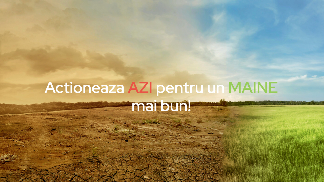 România de „Azi pentru Mâine”: cum ajungi să colectezi separat și cu impact