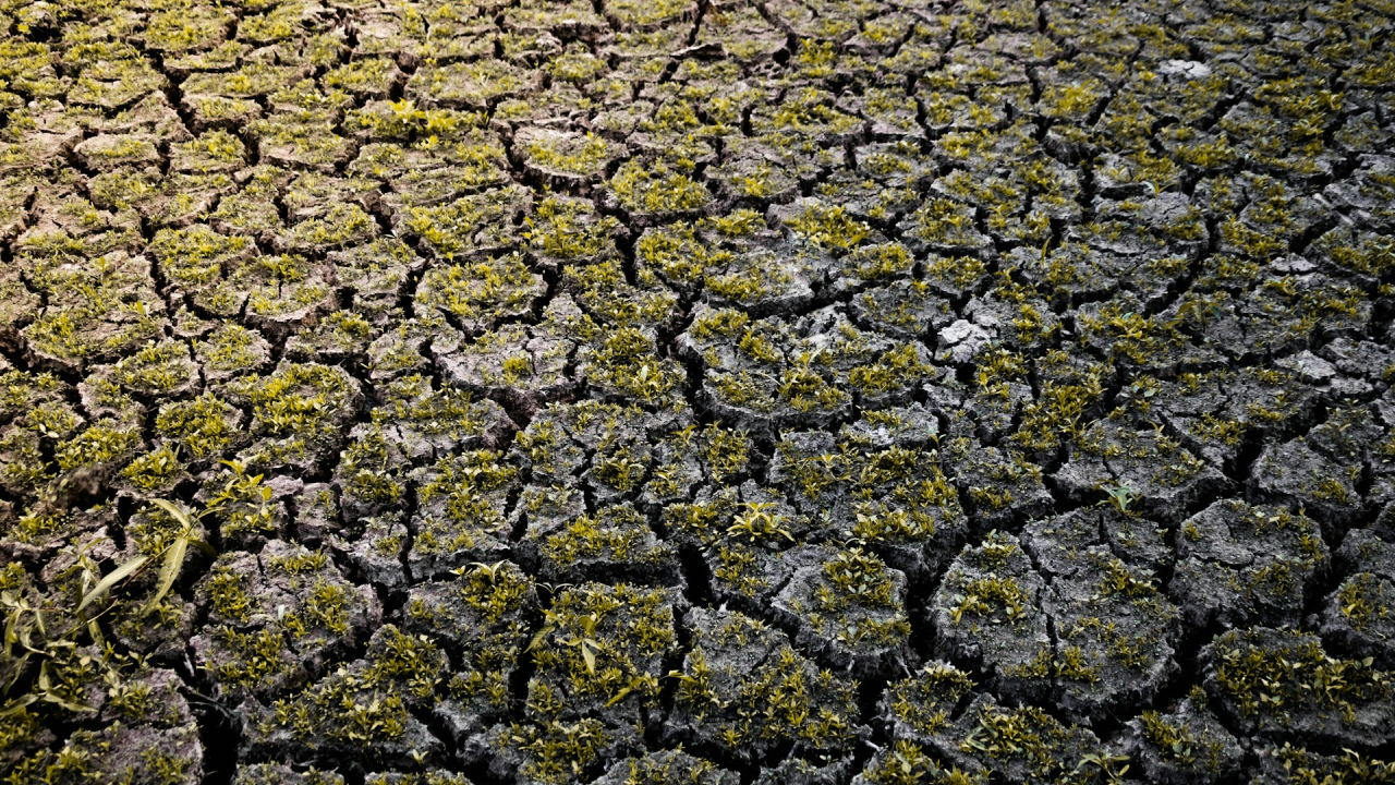 April was the 11th month in a row to break temperature records, due to emissions