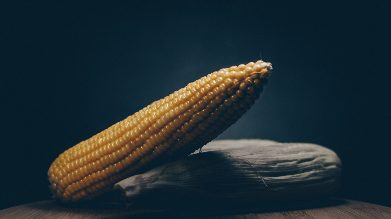 Researchers could make food crops more resilient to heatwaves