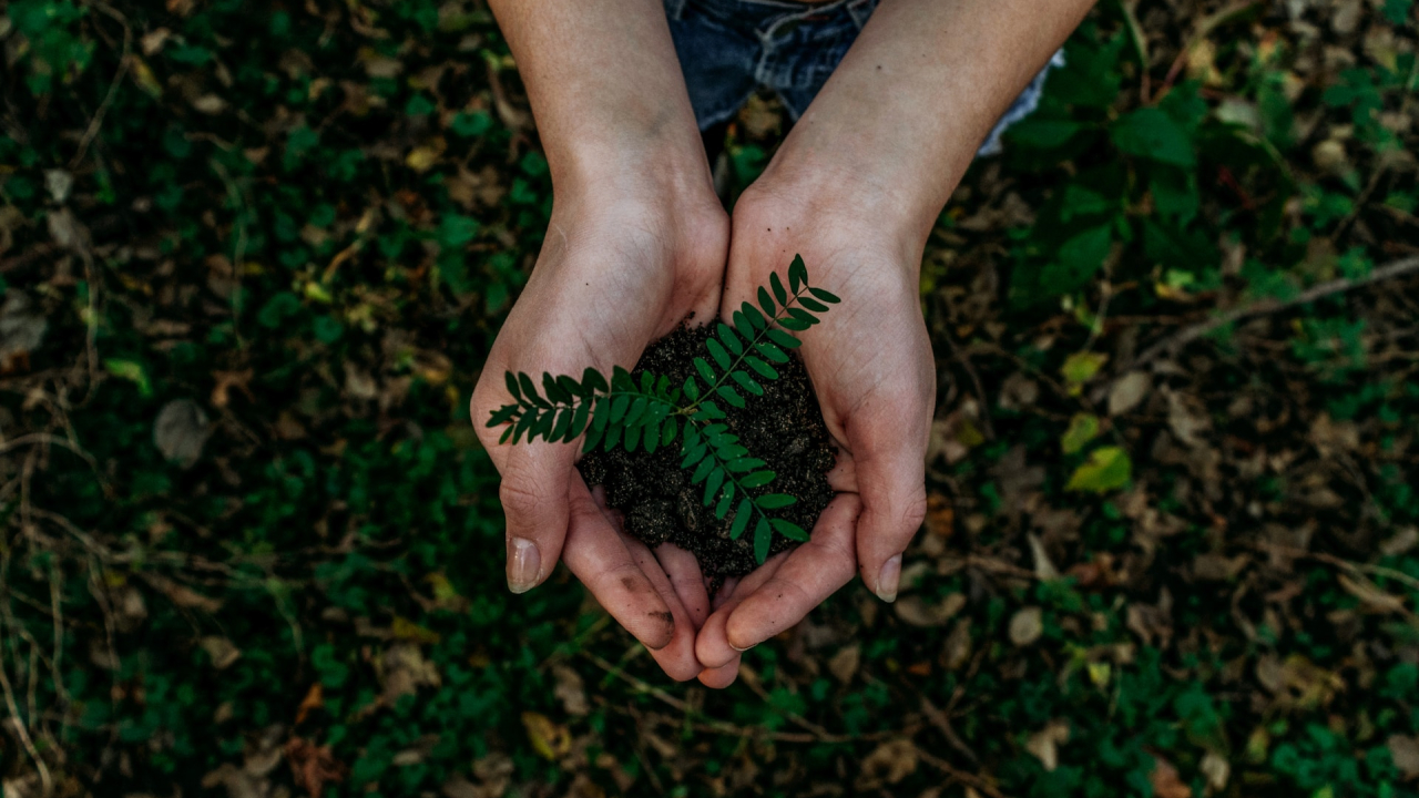Microsoft semnează un acord pentru îndepărtarea a 3 milioane de tone CO2