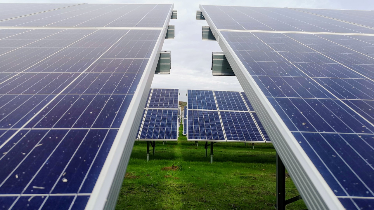 Un român, în managementul celui mai mare producător de panouri solare din lume