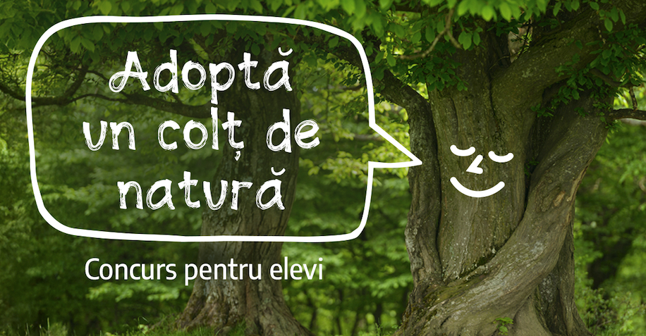 Fundația Conservation Carpathia invită elevii să Adopte un colț de natură