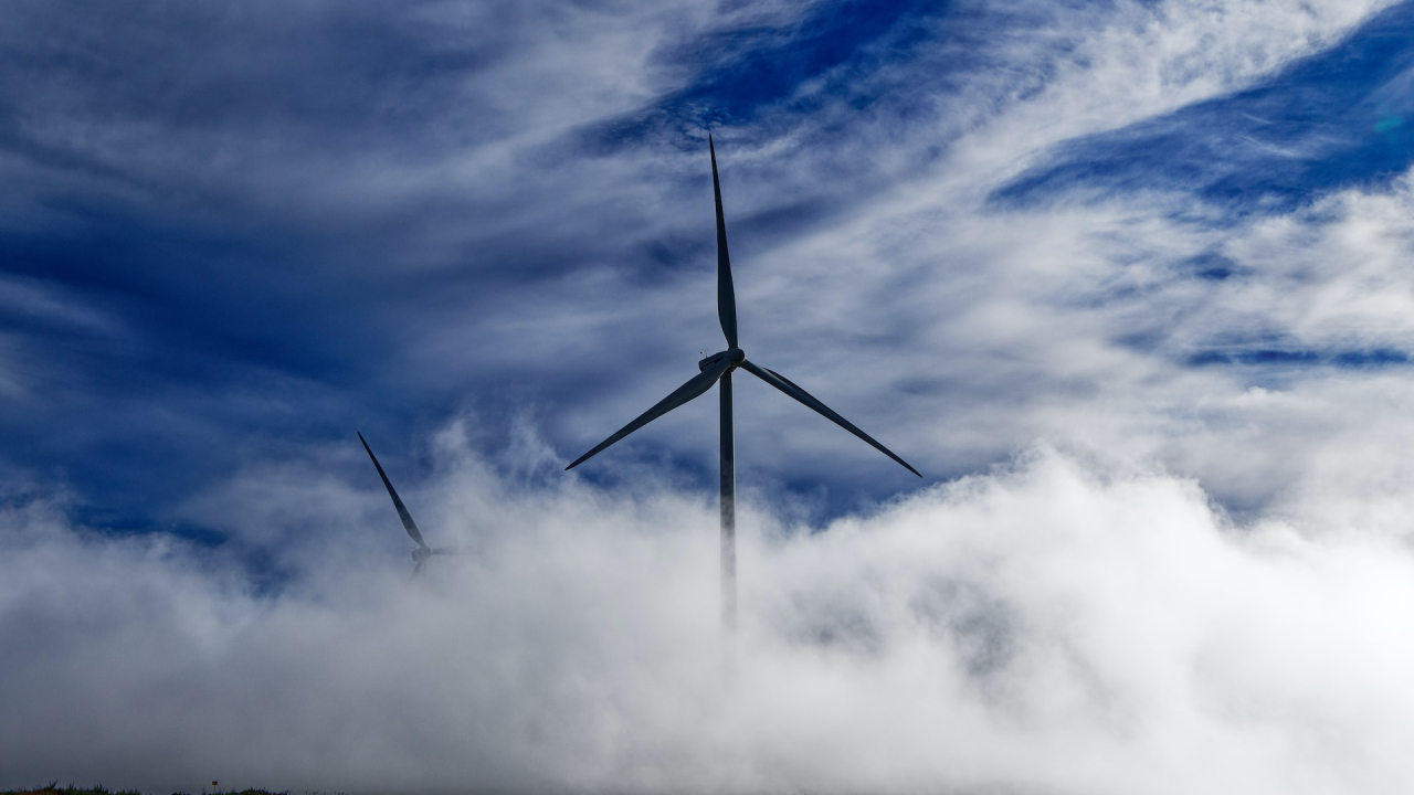 The world's biggest companies, on the lookout for carbon-removal tech