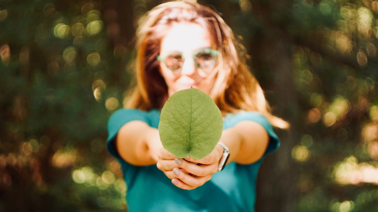 Tips you can use to reduce the carbon footprint you have on the planet