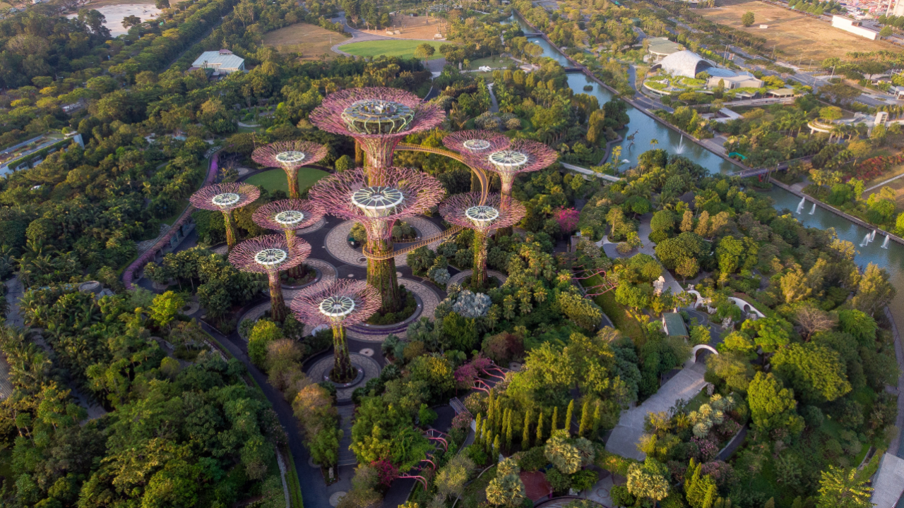 Singapore's plan to become the first net-zero city in the world
