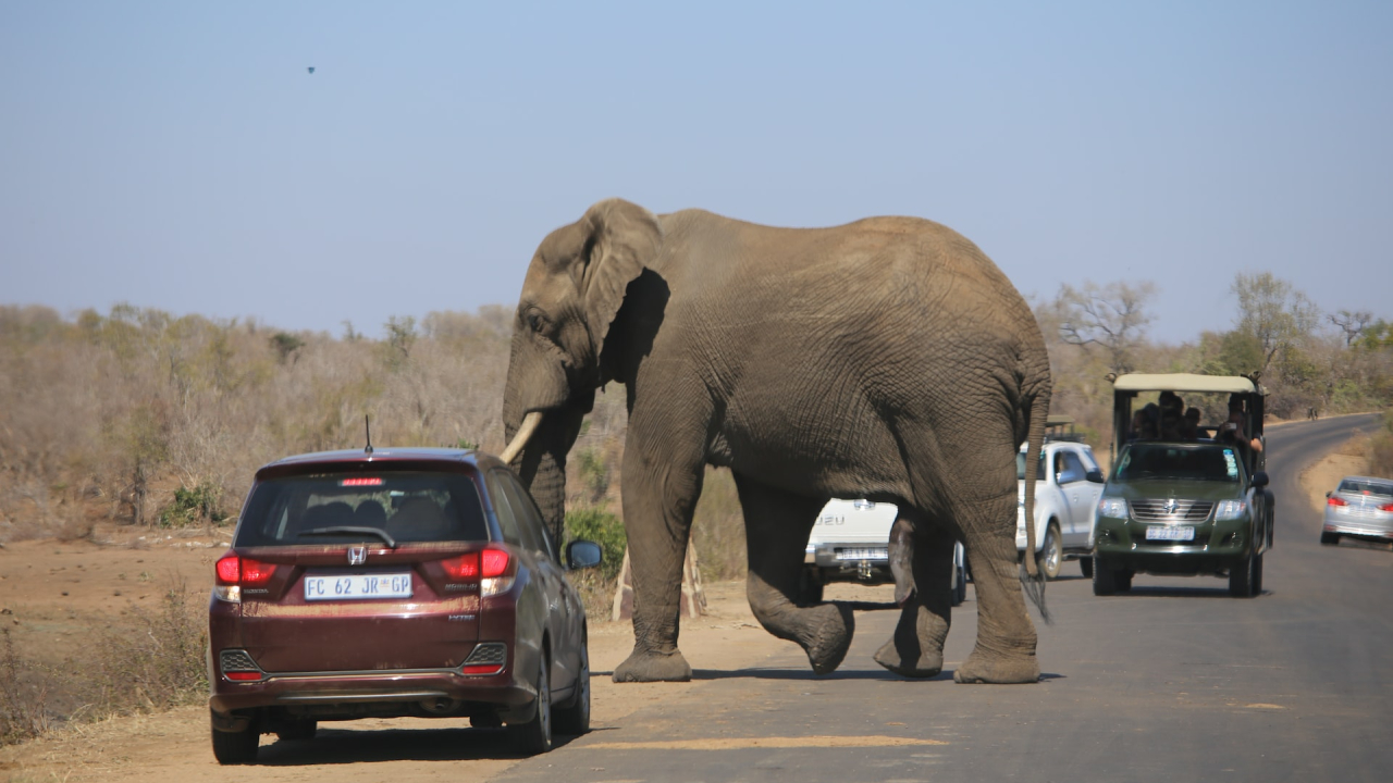 Climate change drives more conflicts between humans and wildlife