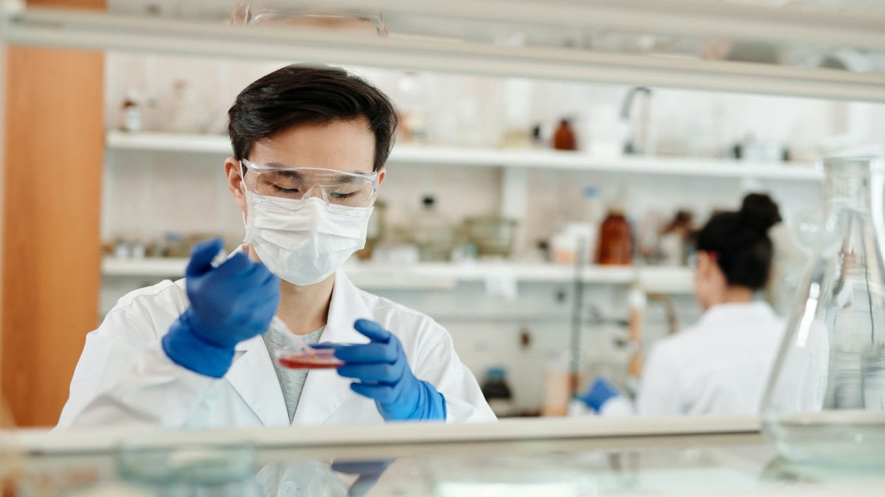 Light-based food sanitization promises safer food for consumption