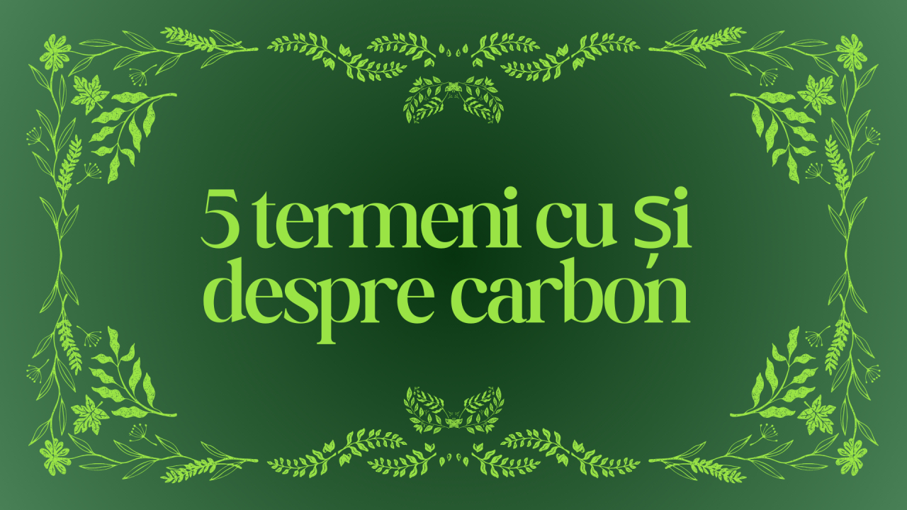 5 termeni cu și despre carbon