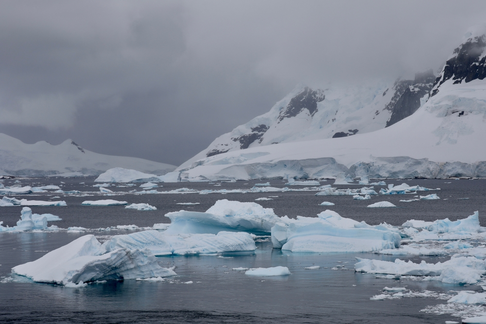 Bucăți de lemn plutitor ar putea ajuta la reînghețarea Oceanului Arctic