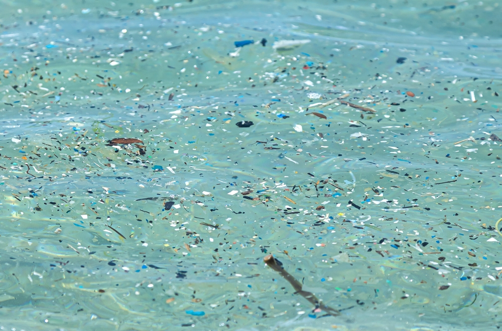 Buretele care poate să elimine microplastice