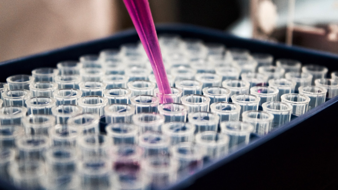 How captured carbon emissions can help us make insulin and other products