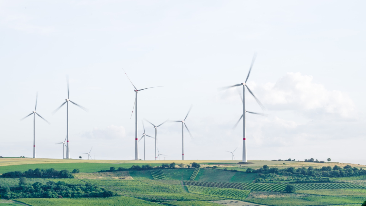 The Netherlands' 28 bn. euros plan to achieve national climate neutrality