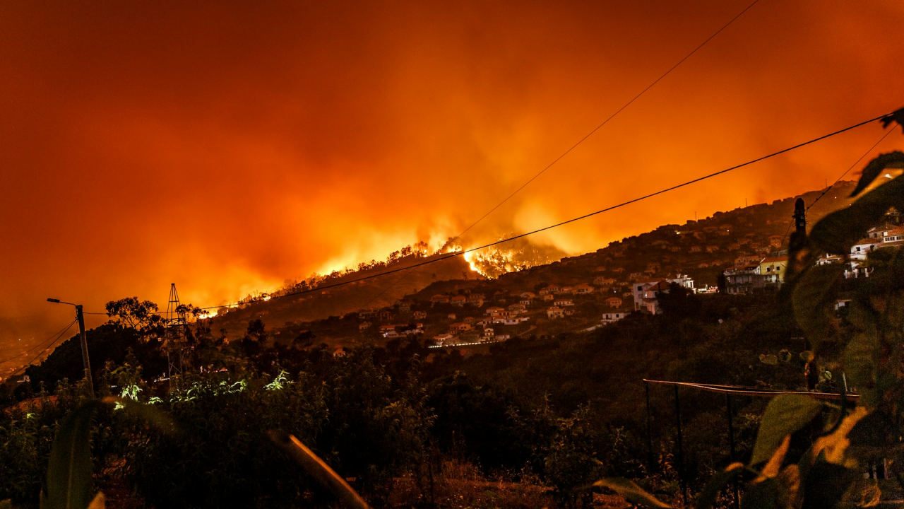 Europa pierde 10.000 km pătrați de terenuri din cauza incendiilor. Adică peste un milion de stadioane „arse” doar în 2025