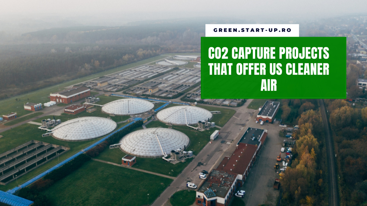 Four companies that help us remove carbon emissions for a cleaner air
