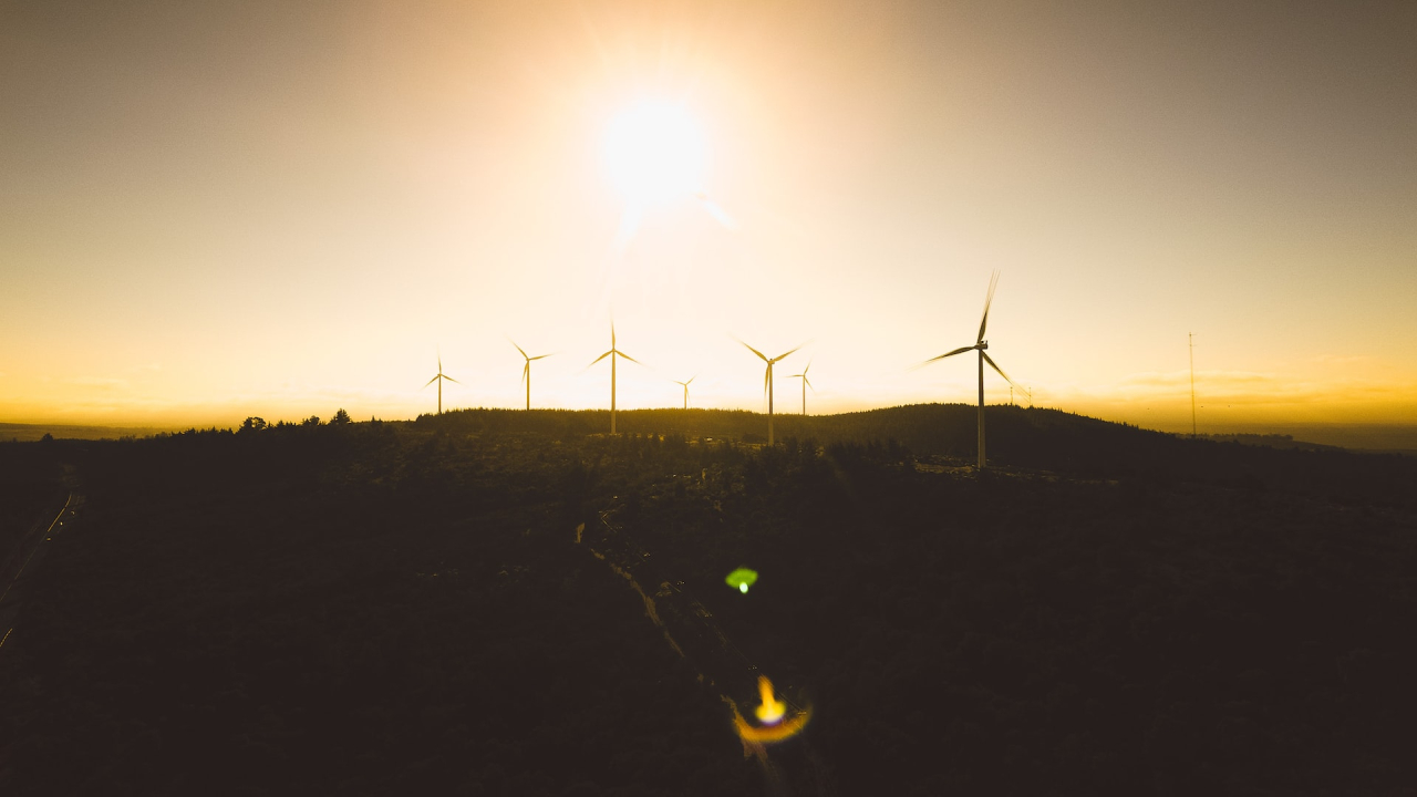Țara care și-a propus să devină lider în producția de energie regenerabilă