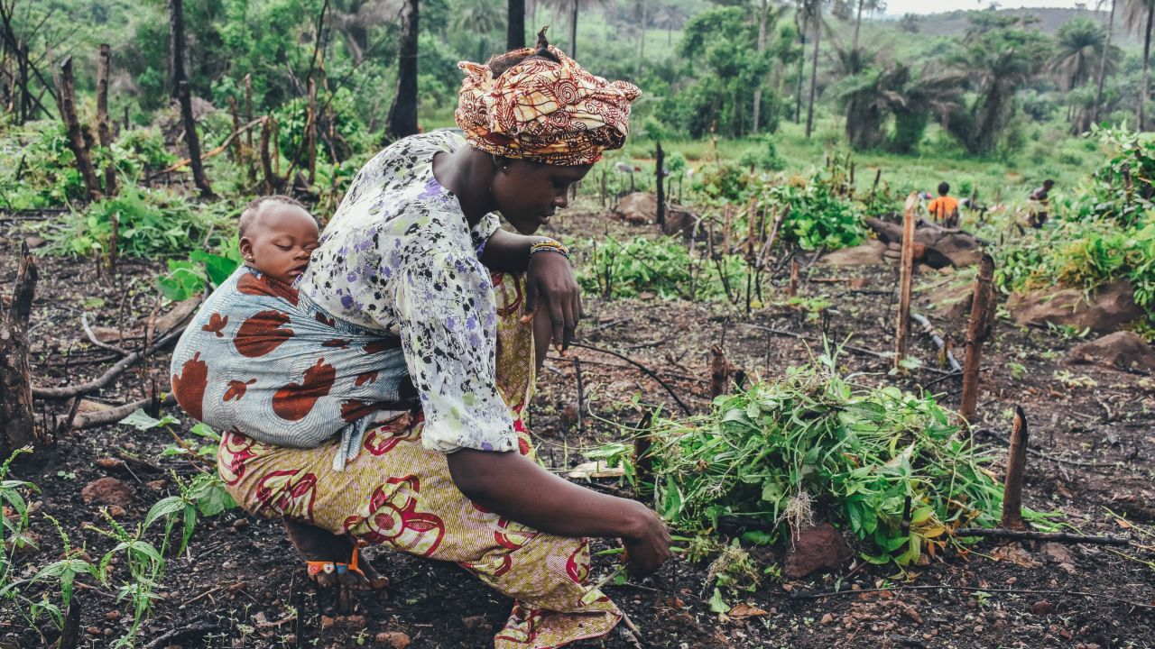 Global Citizen, fonduri de până la un miliard USD pentru țările din Africa
