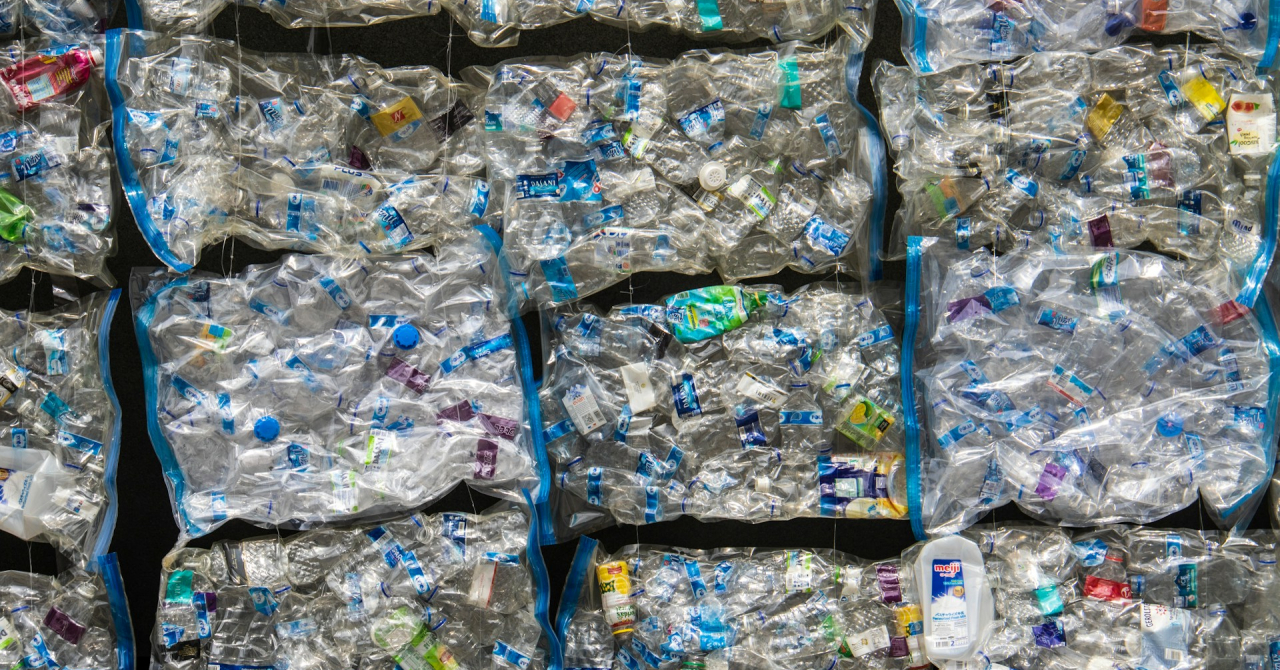 CheckSammy raises 45 mn USD to help companies remove bulk waste