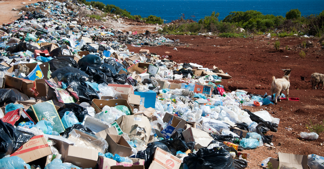Deșeurile din plastic: Cum afectează mediul și de ce este trebuie să le eliminăm
