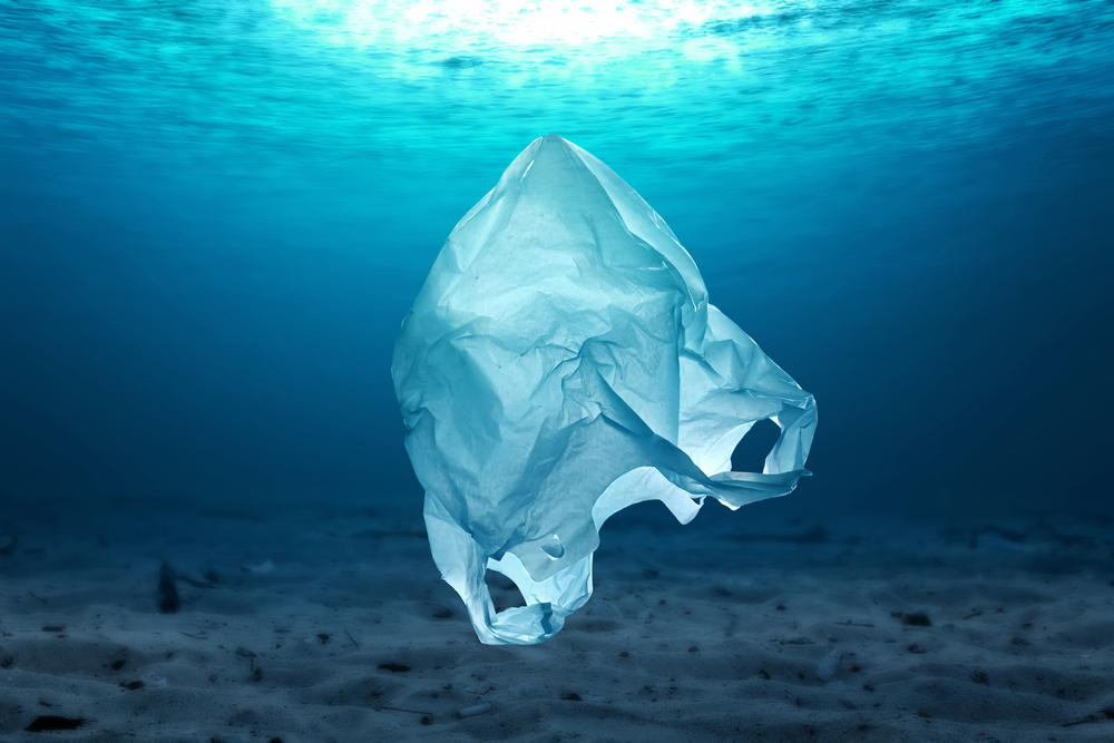 Bioplastic solubil în câteva ore: cum poate salva ecosistemele marine