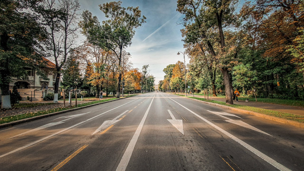 Europe needs greener cities. How can authorities make this happen