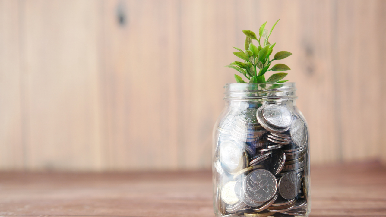 Elbow Beach Capital investește în startup-uri din sectorul climatic