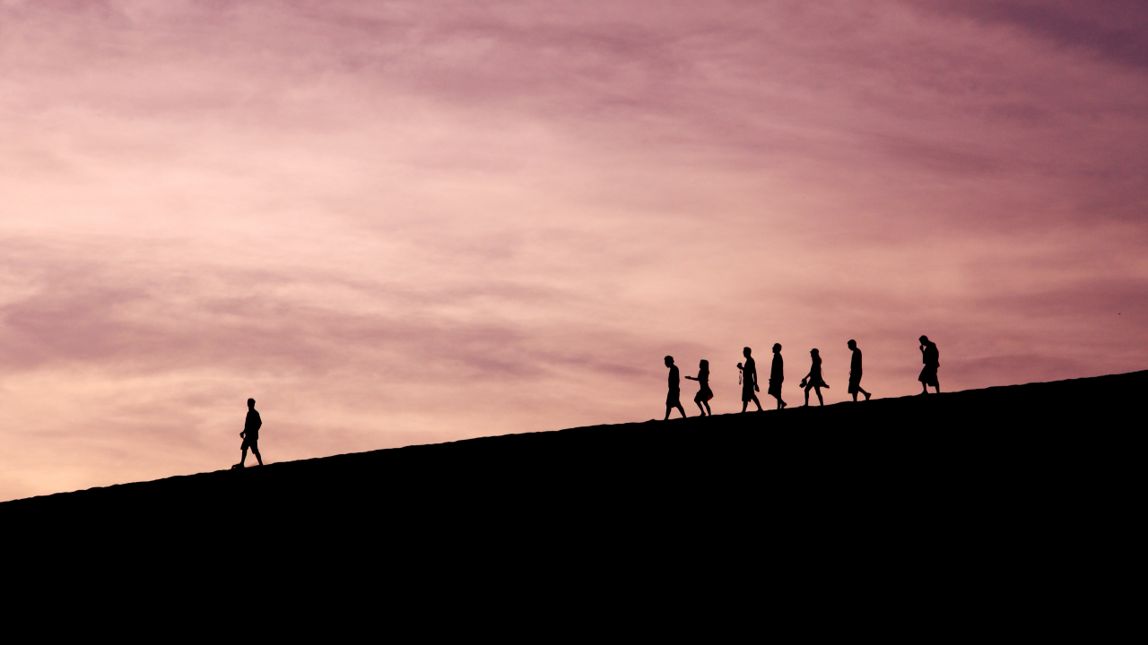 What are the qualities that sustainability leaders should have