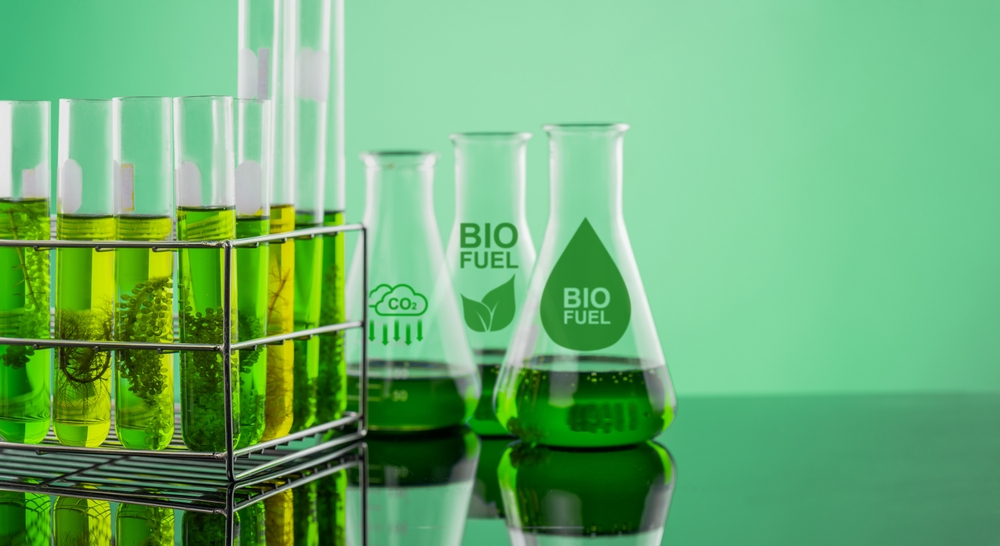 Terragia primește 6 mil USD pentru producția mai ieftină de biocombustibili