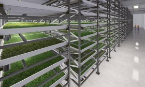 Producătorul de microplante Microgreens va deschide o seră verticală