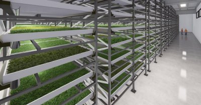 Producătorul de microplante Microgreens va deschide o seră verticală