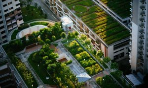 How can you build a more sustainable city? Four projects that could help