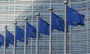 The European Commission wants big companies to respect environmental standards