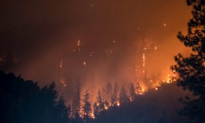 Incendiile spontane amenință tot mai multe păduri din lume