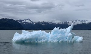 Climate Change 2022: nature is in trouble