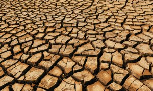 Încălzirea globală amenință recoltele de pe glob: „Nicio regiune nu va scăpa”