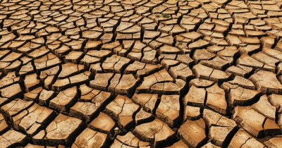 Global warming threatens crops worldwide: "No region will be spared"
