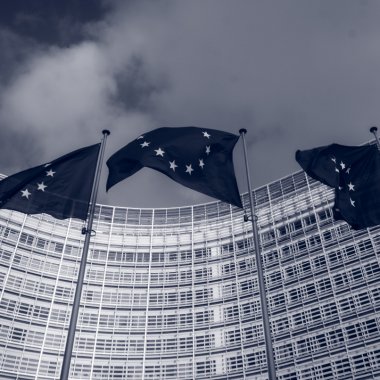 O inițiativă cetățenească europeană vrea să interzică blănurile în UE