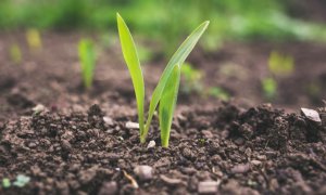 A team of scientists developed a device that can detect carbon in soil