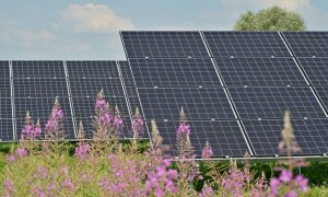 Fotovoltaice pentru firme: proiectele admise la finanțare prin ElectricUp