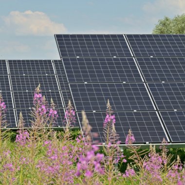 Fotovoltaice pentru firme: proiectele admise la finanțare prin ElectricUp