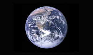 Ziua Pământului: ce caută oamenii pe Google pe tema protecției mediului
