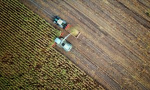 „Transforming Food Systems with Farmers”, planul pentru o agricultură mai verde