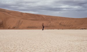 Fabricile de hidrogen verde din deșert ar putea furniza apă potabilă pentru localnici