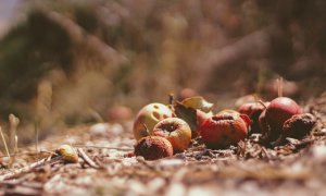 Cum vrea Spania să prevină risipa anuală a 1.300 tone de alimente