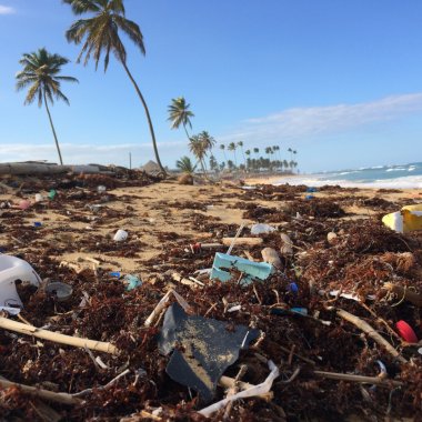 California impune noi măsuri pentru combaterea poluării cu plastic