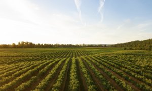 Arable, 40 million USD to expand its agtech digital solutions