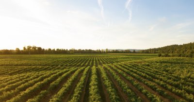 Arable, 40 million USD to expand its agtech digital solutions