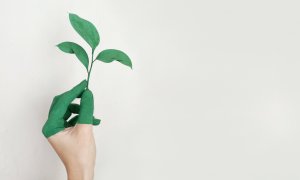 Patru startup-uri sustenabile de urmărit pentru un stil de viață mai verde