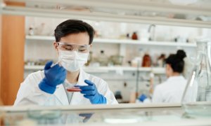 Light-based food sanitization promises safer food for consumption