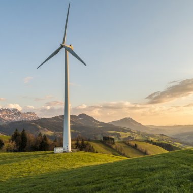 Cum pot fi transformate în alimente elicele reciclabile pentru turbine eoliene